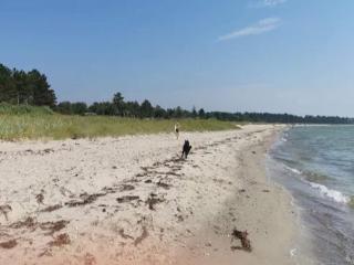 Cosy holiday home near Begtrup Vig Beach - 1