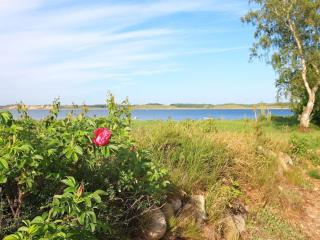 4 star holiday home in Højslev - 8