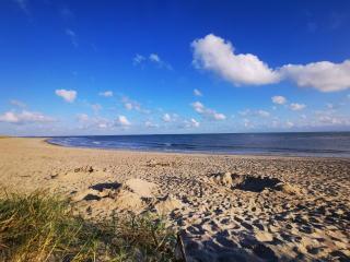 5 star holiday home in Blåvand - 3