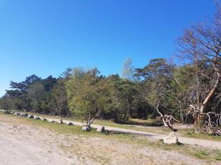 8 person holiday home in Melby - 7