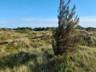6 person holiday home in Blokhus - 3