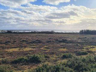 Secluded Retreat by Limfjorden - By Traum Ferienwohnungen - 5
