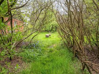 Secluded Retreat by Limfjorden - 4