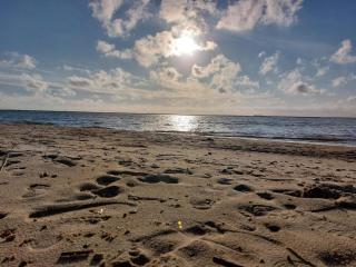 4 star holiday home in Hemmet - 3