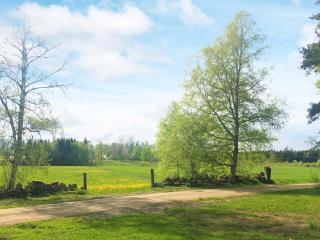 Two-Bedroom Holiday home in Åsarp 1 - 3