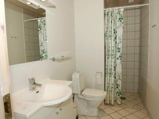 5 star holiday home in Hasle - 1