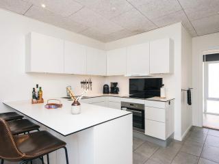 5 star holiday home in Ringkøbing - 4