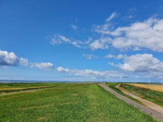 4 star holiday home in Bramming - 1