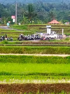 Pondok Tegal jero - 1
