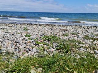 5 star holiday home in Haderslev - 1