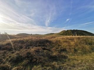 6 person holiday home in Rømø - 5