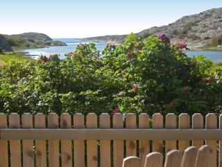 4 star holiday home in Hälleviksstrand - 7