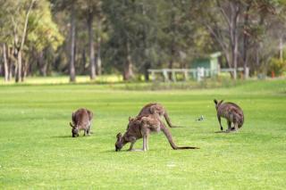 Tasman Holiday Parks - Myola - 1