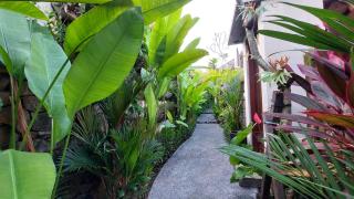 Chic 1BR Romantic and Private Pool at Puri Bhawana - 3