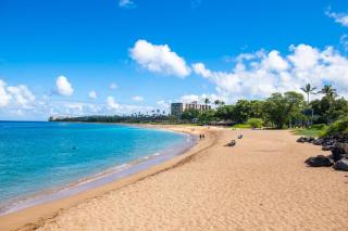 Maui Eldorado H202 - 9