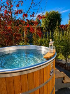 Lady Geraldine Villa & Guesthouse plus Hottub - 9