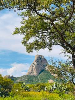Hotel Suites Piamonte - Bernal - 9