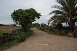 Jeju Aneuk Stay - 6