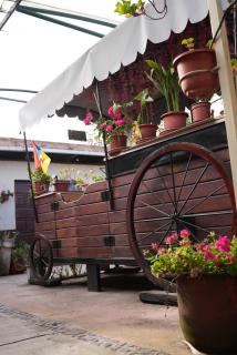 El Patio de las Orquídeas - Centro Histórico de Cuenca - 4