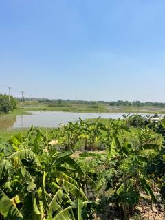 Tam Coc tuan thanh homestay - Ninh Bình - 6