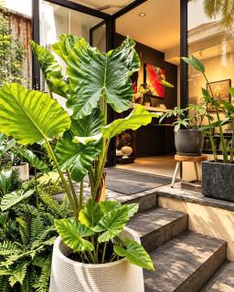 Jazz Living - Tropical Apartment 5 minutes walk from landmark 81 - 2