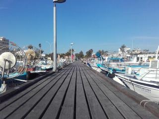 Property Direct Posidon Court - 1