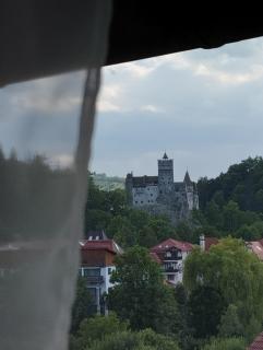 Pensiunea Transilvania Lodge - 9