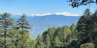 Ambiya Paradise Himalayan Forest Cottage - 8