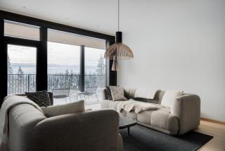 Fjällen Lumière Penthouse Ski-in Ski-out by Aavalevi - 8