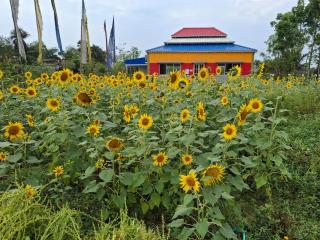 Aarannyak Eco Resort and Organic Farming - 3