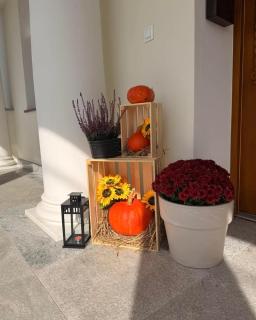 Apartamenty Złote Bory - 8
