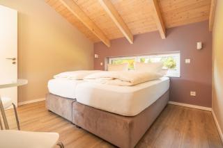 Haus-Buche - 5