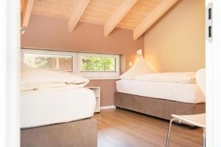 Haus-Buche - 4