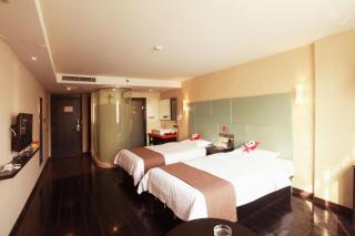 Thank Inn Plus hotel He'nan Zhoukou Chuanhui District Red Star Macalline - 9