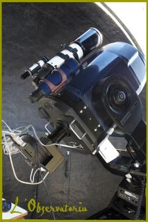 Vega - 1