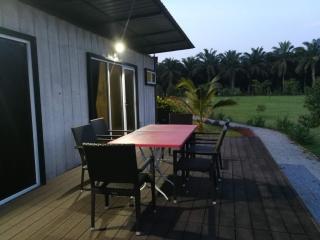 Triang ecologe - 6