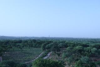 Forest View Premium 1 BHK Self Check in Private - 7