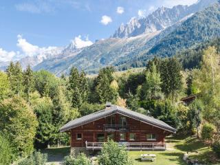 Chalet 10 personnes : vue imprenable et cheminée - 6