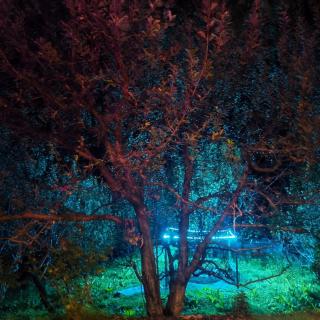 The hidden Abyss Cottage - 7
