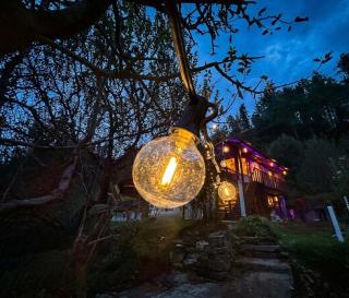 The hidden Abyss Cottage - 6