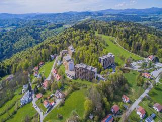 Holiday apartments in Freyung with sauna & swimming pool - 9