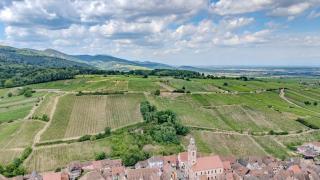 RIESLING - Vue imprenable sur le vignoble - rénové récemment - parking gratuit - Riquewihr - 2