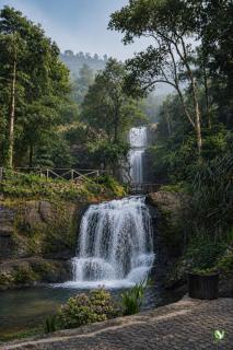 Urava Farmstay- Private waterfall, near Vagamon, Thekaddy, Munnar - 9