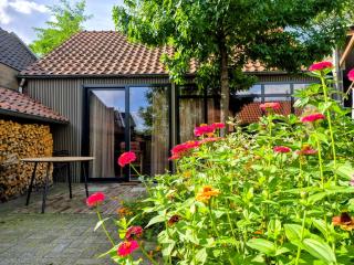 B&B Hartje Oirschot - 8
