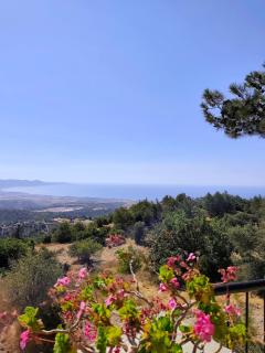 Tremithos cottage Nature retreat and Mountain views - 5