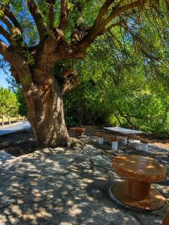 Tremithos cottage Nature retreat and Mountain views - 1