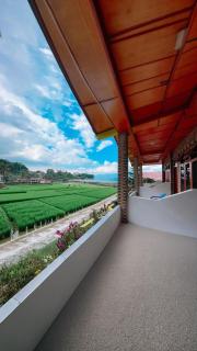 Donny's Guest House - 3