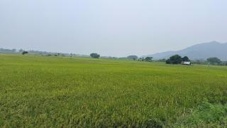 Đồng Trại Homestay - 3