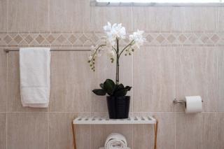 Villa Olive - 1