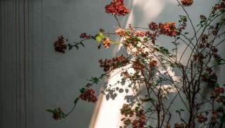 Hagi's House - 6